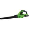 Draper Tools D20 20V Leaf Blower, 1 X 2.0Ah Battery, 1 X Charger Blowers & Vacs